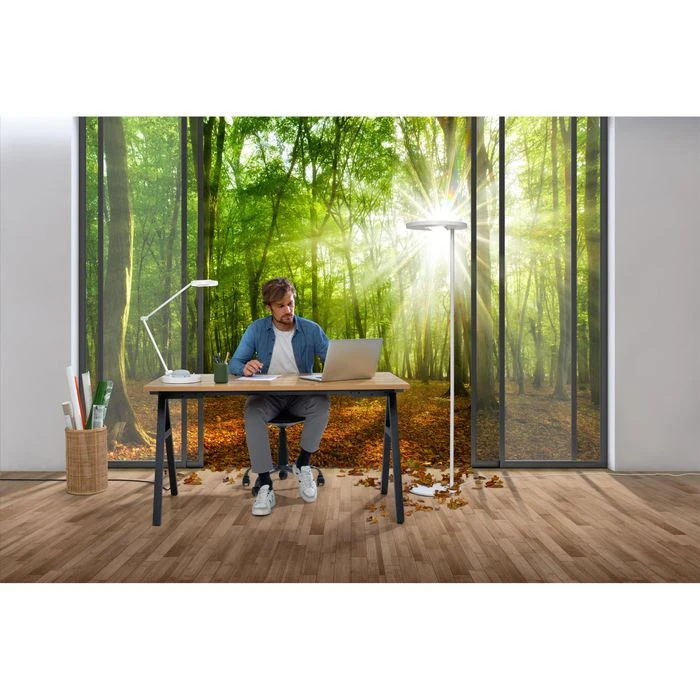 LEDVANCE Schreibtischlampe Panan Desk LED, Dimmbar, App-fähig, Standfuß 6 LEDVANCE Schreibtischlampe Panan Desk LED, Dimmbar, App-fähig, Standfuß – Bild 4