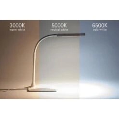 Maul Schreibtischlampe Maulpearly LED, Dimmbar, Weiß, Mit Standfuß 8 Maul Schreibtischlampe Maulpearly LED, Dimmbar, Weiß, Mit Standfuß -WENKO Shop e529329d5e219c3699d74ee47ef870c712f27d3e schreibtischlampe maul maulpearly led